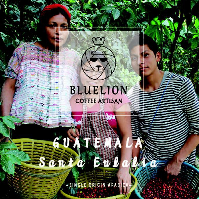 

GUATEMALA SANTA EULALIA 500 GR - KOPI BLUELION - MEDIUM ROAST - BIJI