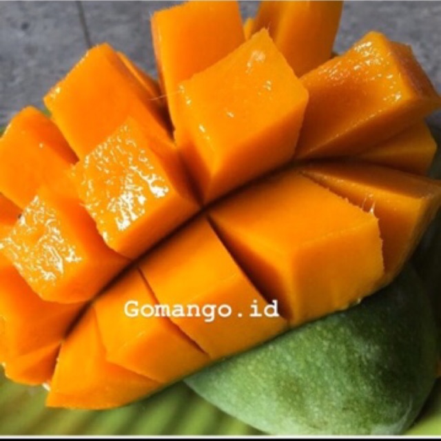 Jual Mangga Harum Manis Masak Pohon Per Kilo Shopee Indonesia 