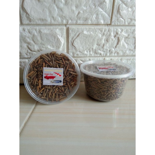 maggot kering maggot manggot moggot kering 100gram