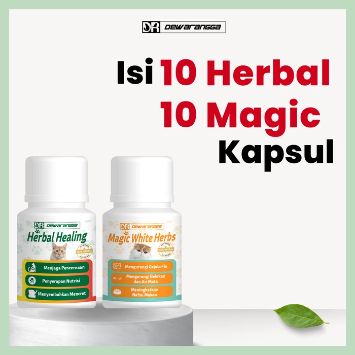 Paket Gemukin Kitten - Dewarangga