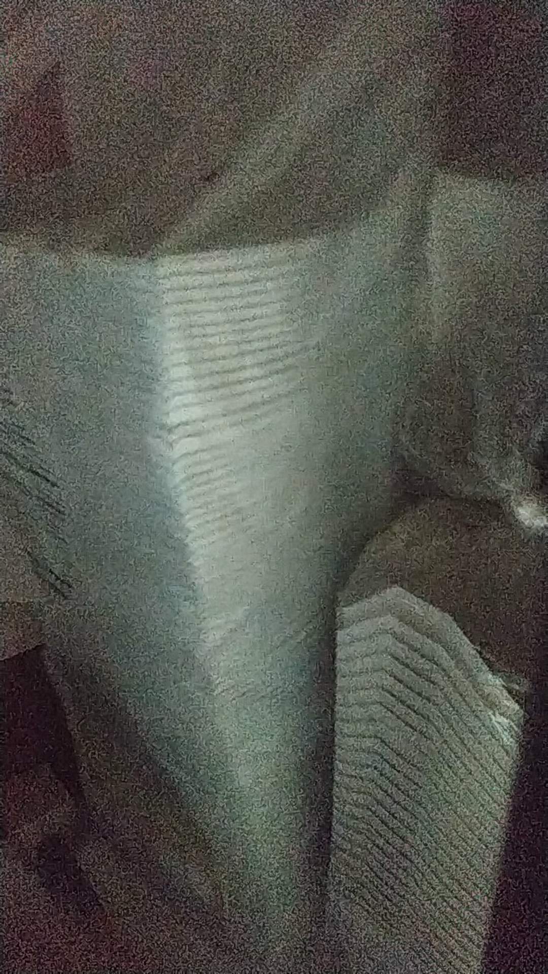 Lunch Box Ukuran M & L Cap Daun/dus Isi 100pcs