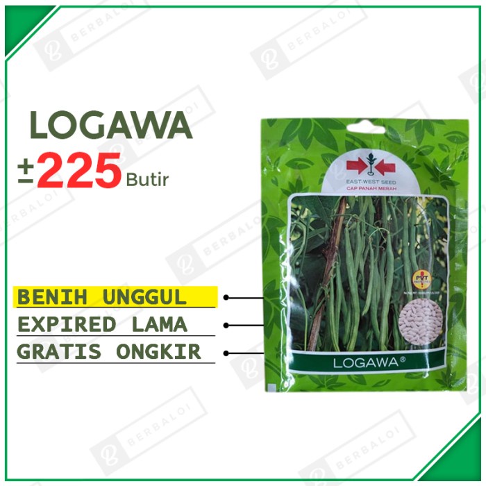 Logawa Benih Buncis Perdu Unggul Bibit Kacang Buncis Hibrida SP