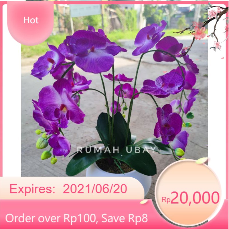 ANGGREK BULAN / BUNGA ANGGREK / ANGGREK BULAN ARTIFICIAL