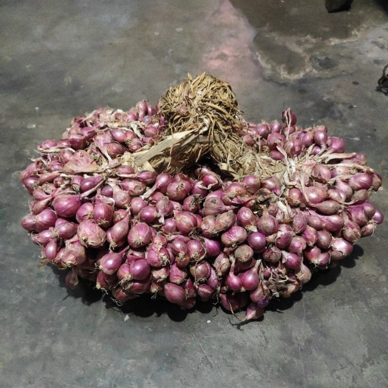 

Termurah BAWANG MERAH NGANJUK 4 KG (BRAMBANG ASLI NGANJUK)