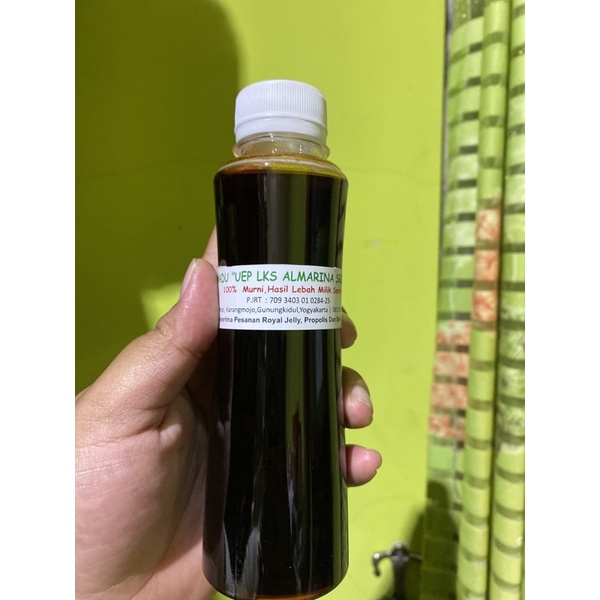 

Madu UEP LKS ALMARINA
