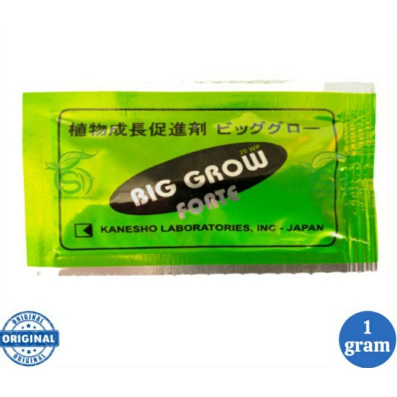 PUPUK ZPT BIG GROW FORTE ZAT PENGATUR TUMBUH TANAMAN 1 GRAM (SACHET)