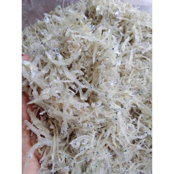 

teri nasi rasa tawar gurih