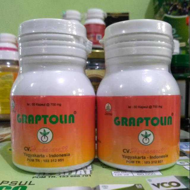 

Graptolin herbal obat wasir dan ambien