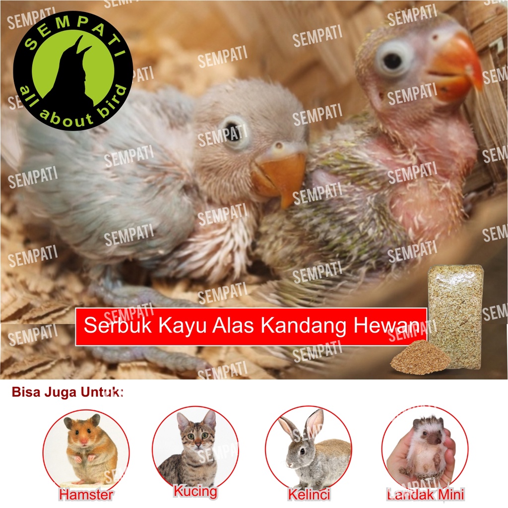 SERBUK KAYU GERGAJI HALUS ALAS KANDANG UNTUK ANAKAN PIYIK BURUNG HAMSTER LANDAK MINI KELINCI KUCING-2