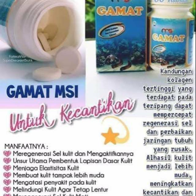 Gamat MSI