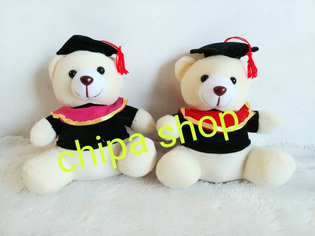 BEAR WISUDA 20 CM