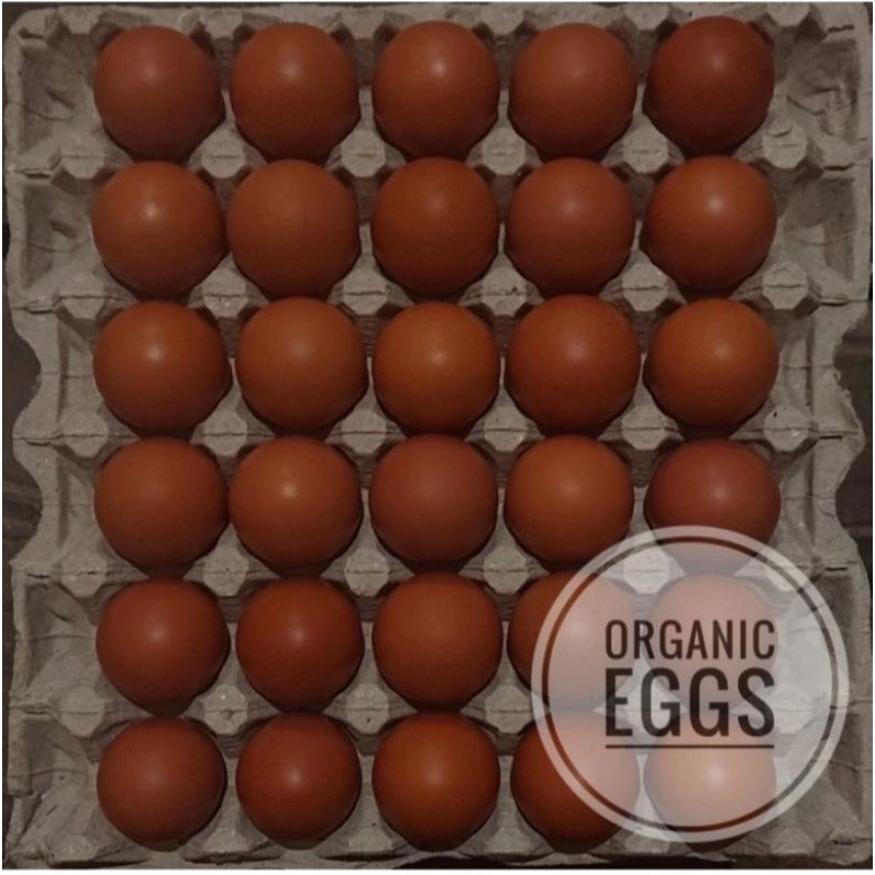 

Telur ayam organik (retro's farm) 30 butir