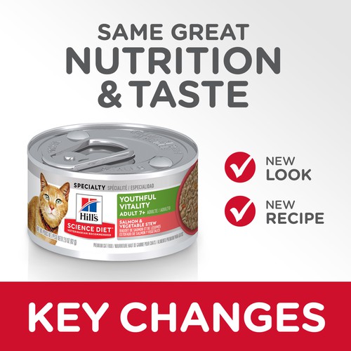 youthful vitality cat