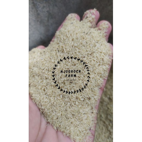 TELUR JANGKRIK MADU KUNYIT ASLI KUNING 1 ONS