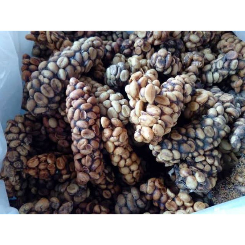 

Kopi Luwak Arabika Kintamani Roasted Bean 500g