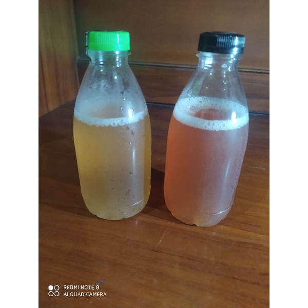 

Kombucha Original