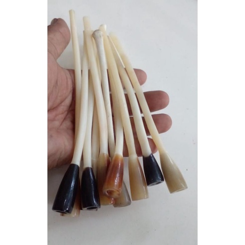 Once pipa tulang  kalong original asli