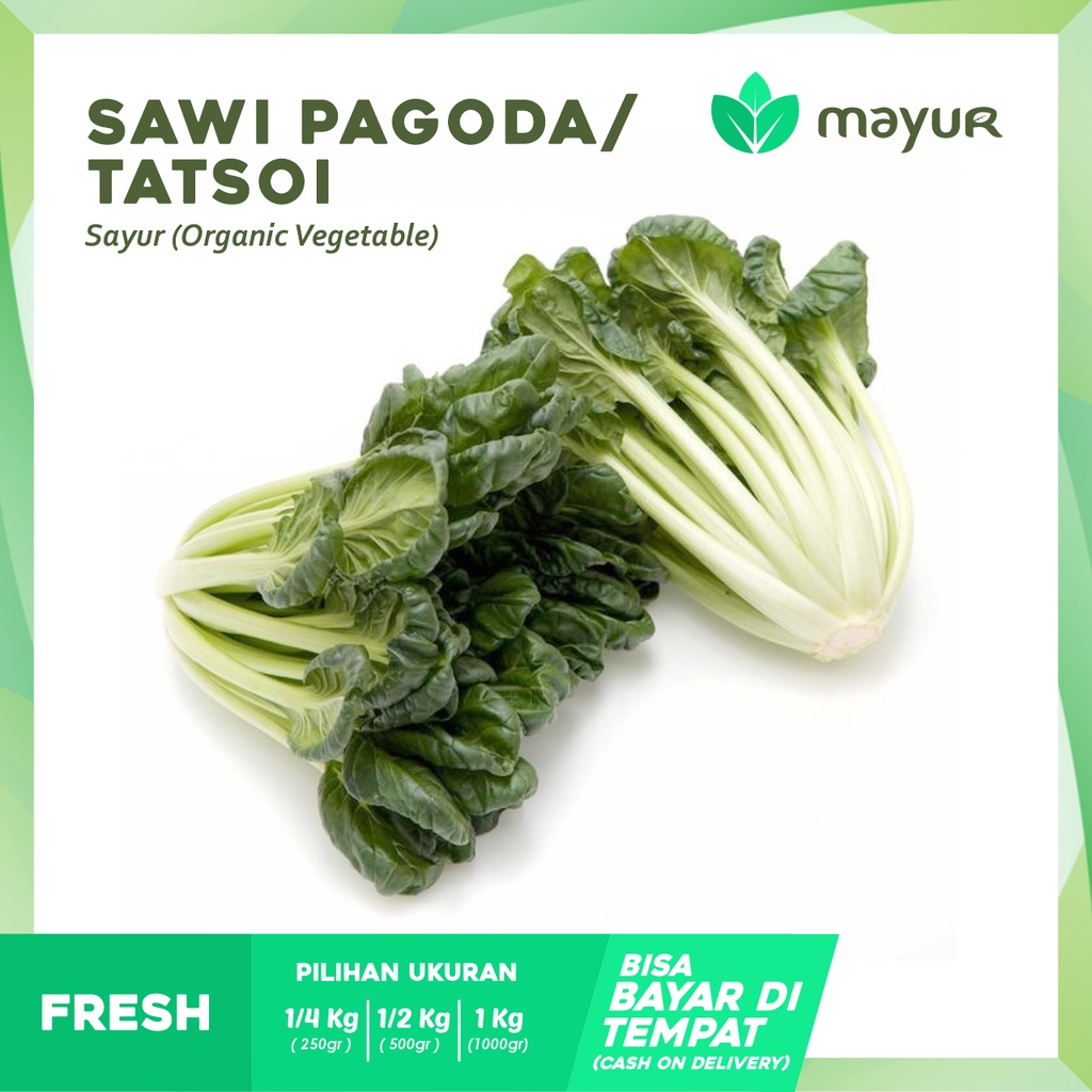 

Sawi Pagoda Segar ( 250gr | 500r | 1 kg )