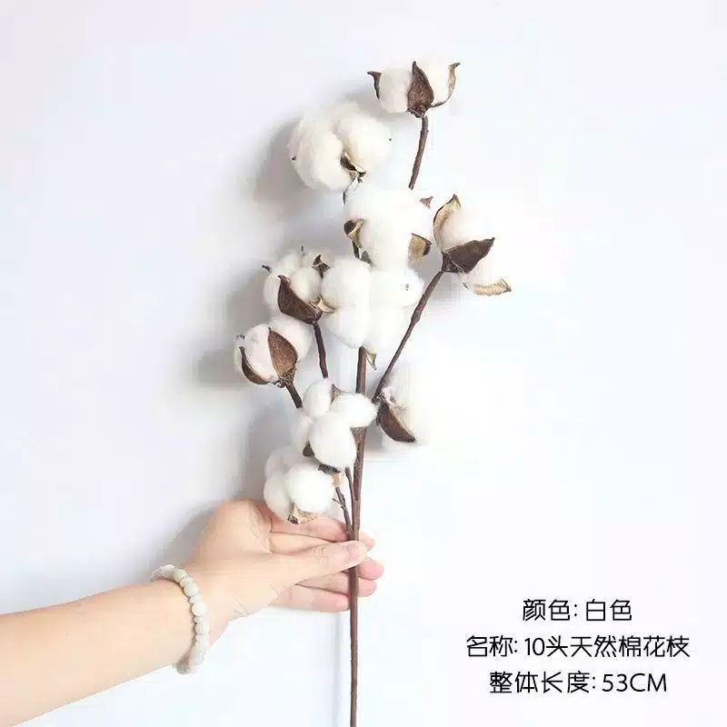 Bunga kapas dry cotton artificial flowers room decorations bouquet flower