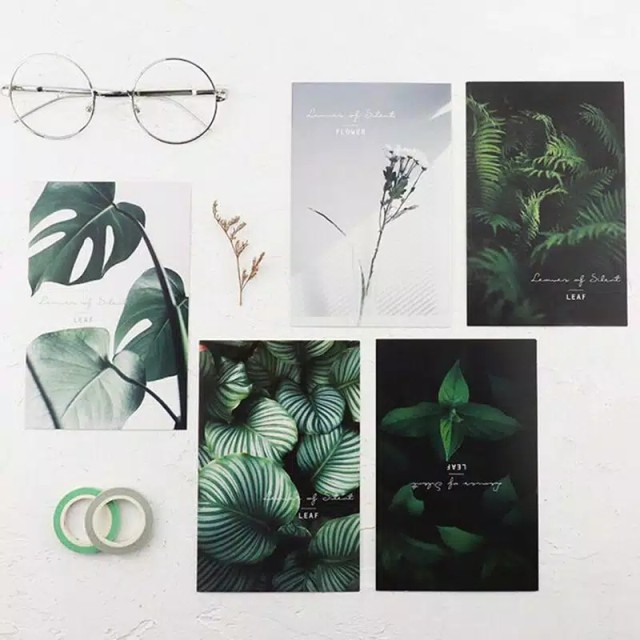 Kartu Pos Postcard Leaf Daun Random