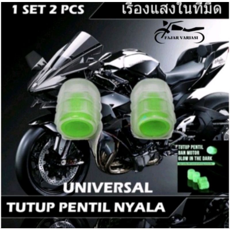 1 pasang TUTUP PENTIL NYALA GLOW IN THE DARK MOTOR MOBIL SEPEDA UNIVERSAL