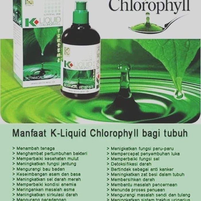 KLINK LIQUID CHLOROPHYLL / KLINK KLOROFIL K-LINK / KLINK CLOROFIL