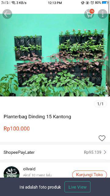 Planter Bag Ukuran 30x30
