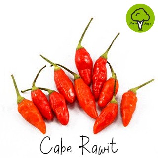 

CABAI / CABE RAWIT [250GR]