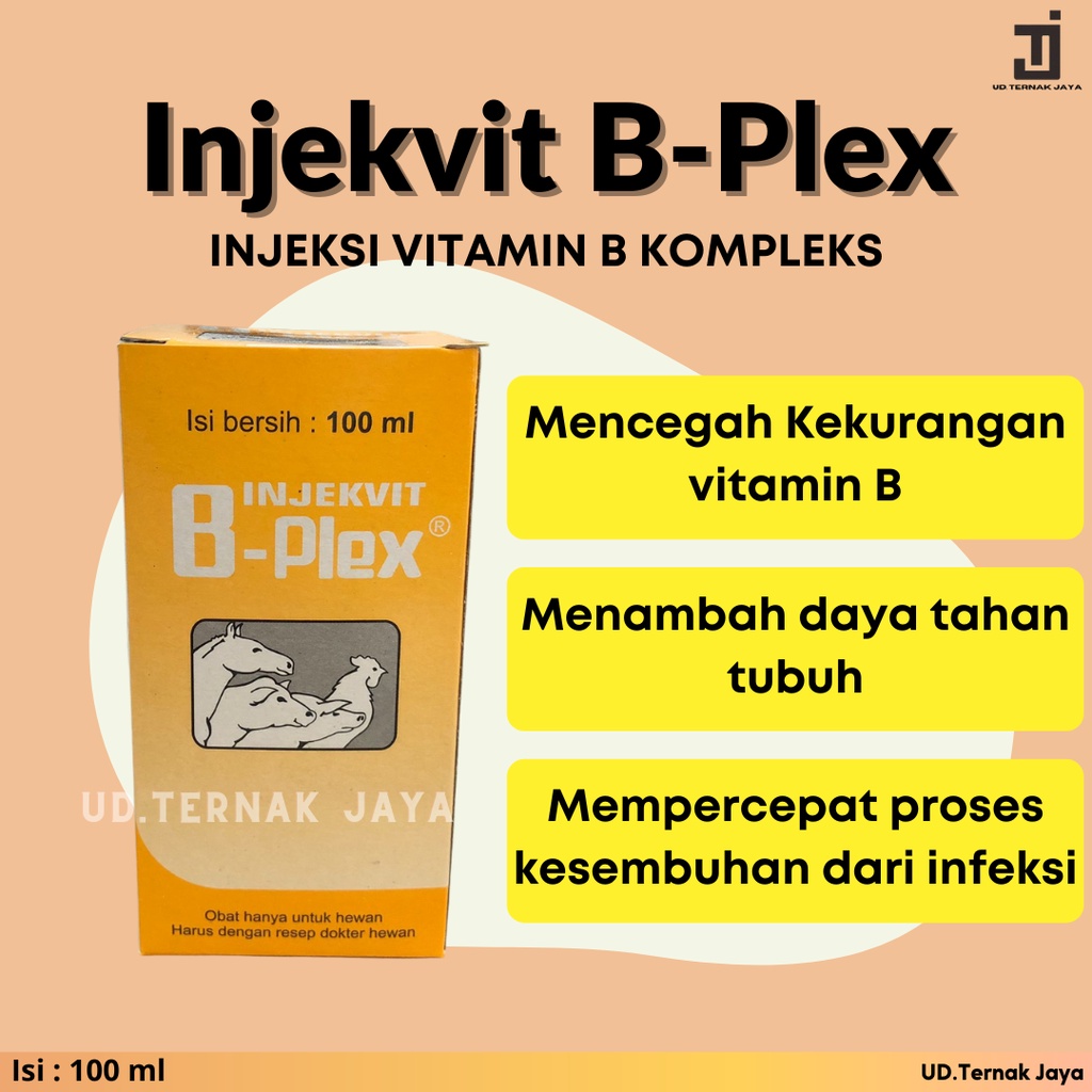 Jual Injekvit B-Plex Injeksi Vitamin B Kompleks 100 Ml Untuk Hewan ...