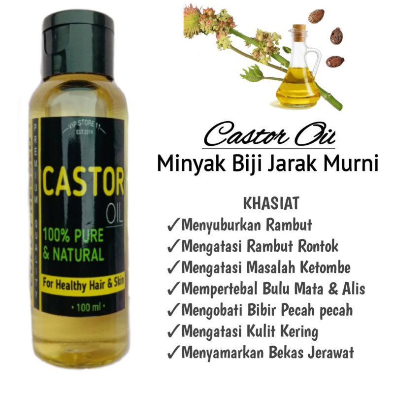 Jual Castor Oil Minyak Jarak Murni 100% Isi 100ml Indonesia|Shopee ...