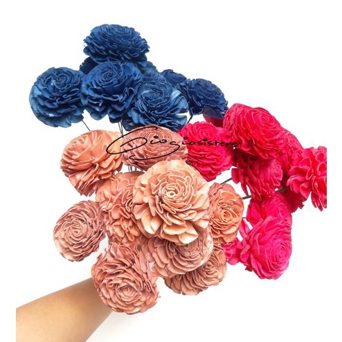 Sola Wood WARNA dengan Tangkai | Bunga Sola | Colored Sola Flower | Dried Sola Wood Colored with Ste