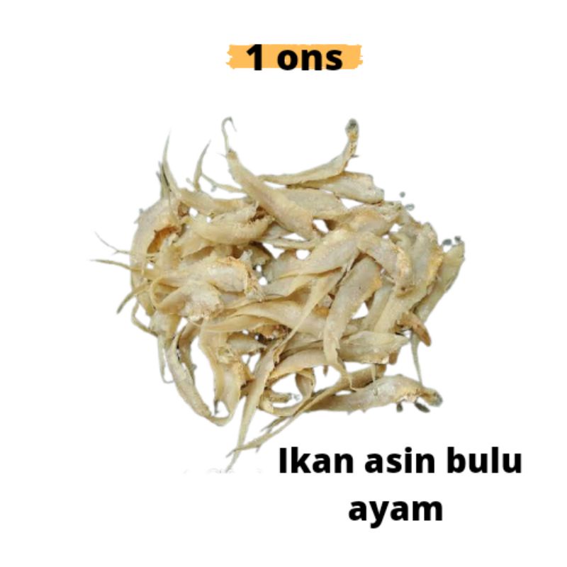 

IKAN ASIN BULU AYAM 1 ONS KUALITAS SUPER