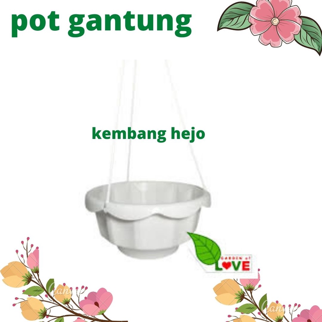 Pot Bunga Gantung Cendana Pot Gantung Dahlia Pot Gantung Plastik Putih Murah