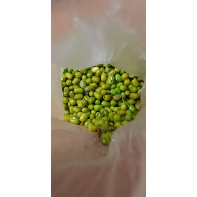 

kacang hijau super murah langsung dari petani,