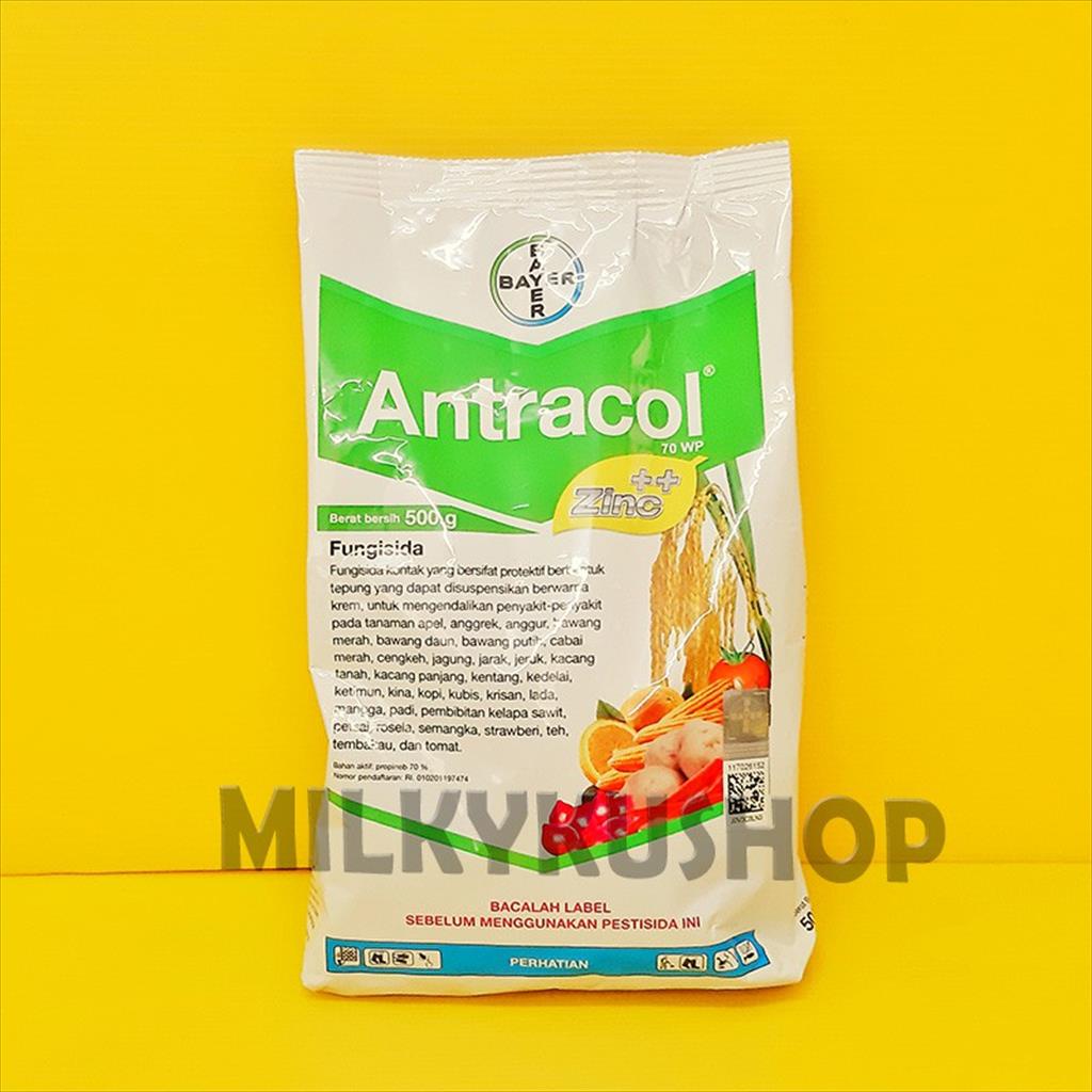 FUNGISIDA ANTRACOL 70 WP ZINC KEMASAN PABRIK 500 GRAM