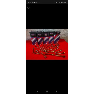 baut probolt Tiger, GL, megapro