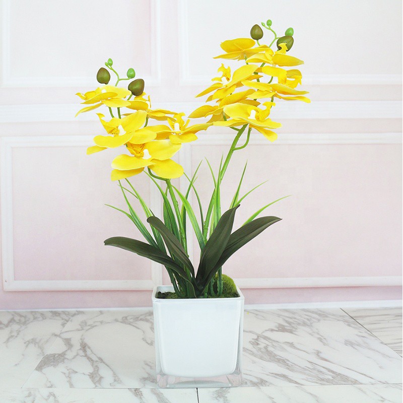 Naindo Bunga Anggrek 2 cabang +Vas kaca hiasna ruang tamu dan kantor -anggrek latex-Tinggi 40 cm