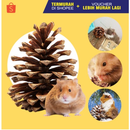 PINE CONE Mainan Gigitan Hamster Mainan Hamster Dekorasi Kandang Hamster ALAMI