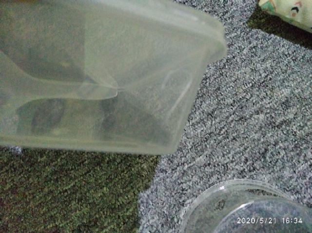 Thinwall Bulat Mangkok Tebal Tahan Panas Microwave Fim 450ml