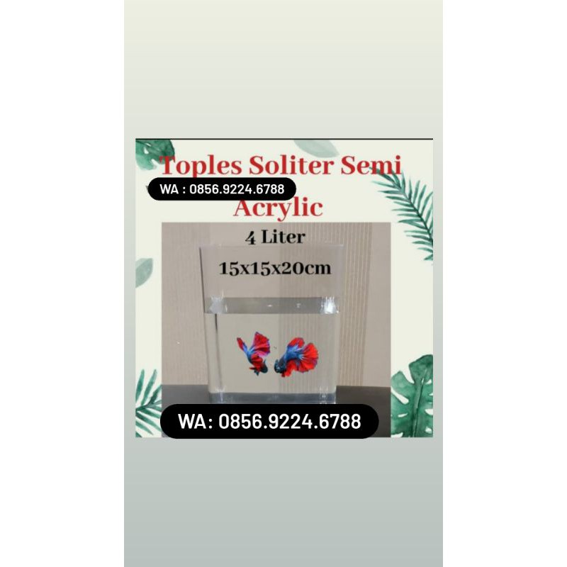 Toples Ikan Cupang 4Liter akrilik