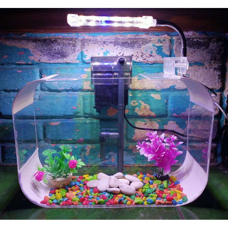 aquarium akrilic pvc mini unik | Shopee Indonesia