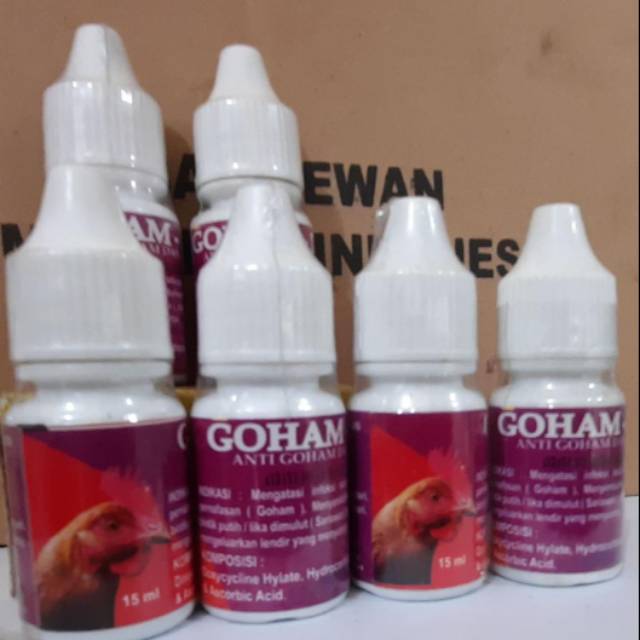 Obat goham ayam bangkok