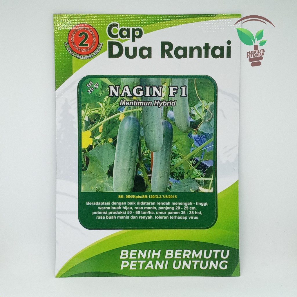 Benih Timun NAGIN F1 20 gram - Dua Rantai