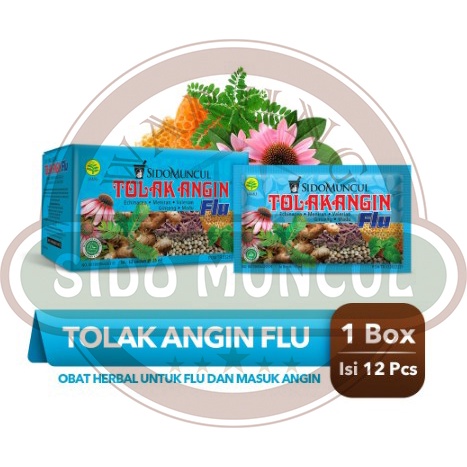 

Tolak Angin Flu 12's Mengatasi Flu Gejala Pilek Batuk Demam Pusing