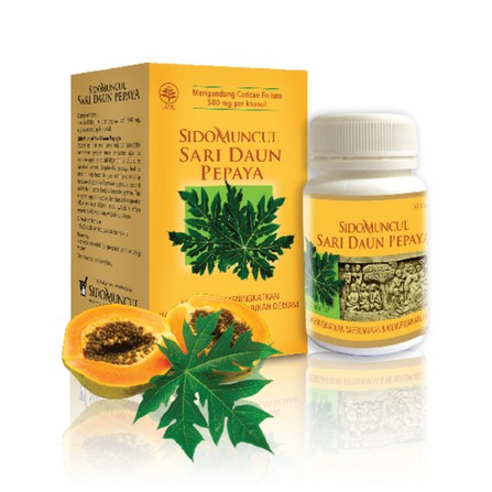 

Promo Sari Daun Pepaya Diskon