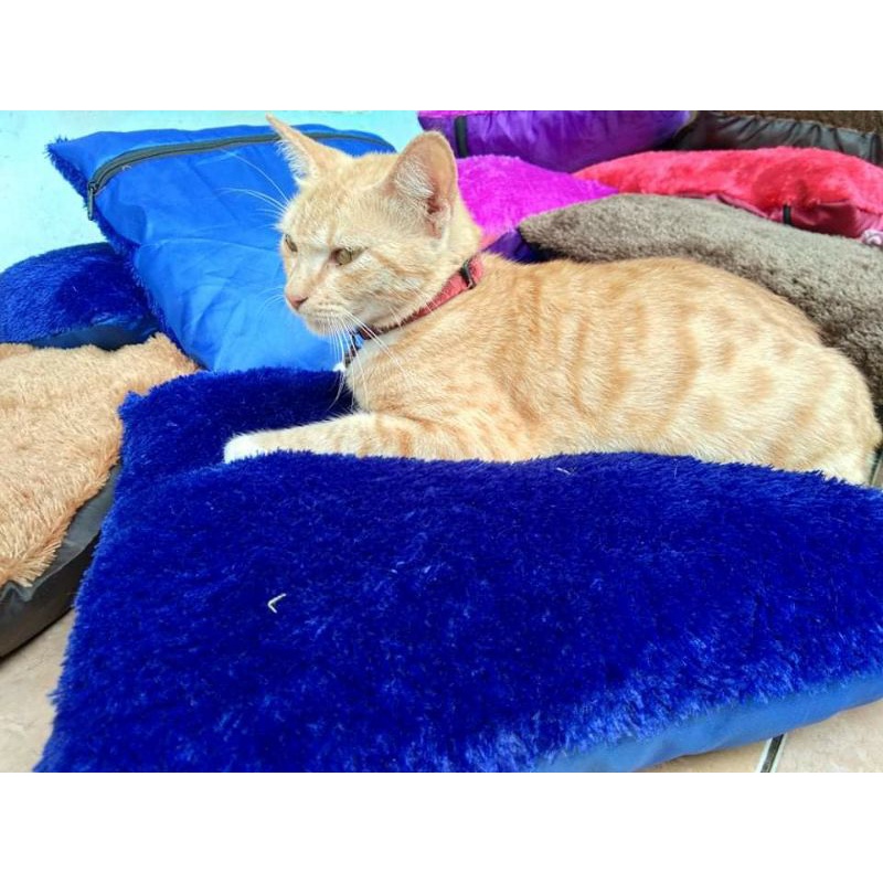 tempat tidur kucing/anjing bulu rasfur super lembut dan halus