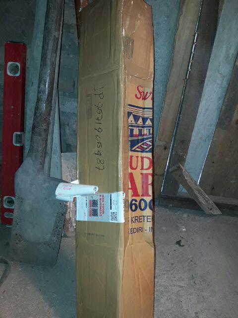 Jual Bibit Buah Nangka Merah.