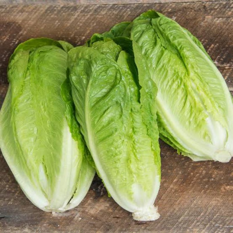 

Romaine Lettuce 1kg