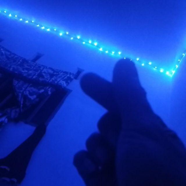 Nutrisi Ab Mix / Pupuk Hidroponik