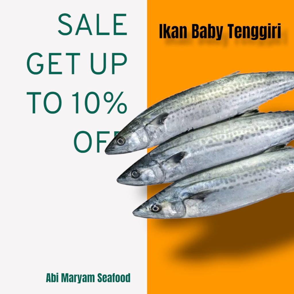 

Ikan Tenggiri Baby / Tenggiri kecil Fresh Berkualitas 1kg